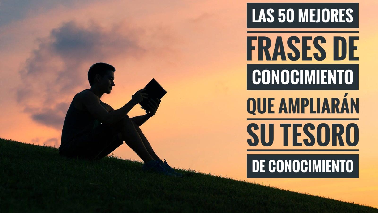 Las 50 mejores frases de conocimiento que ampliarán su tesoro de ...